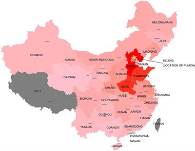 A Comprehensive Analysis of 2013 Dystrophinopathies in China: A Report From National Rare Disease Center